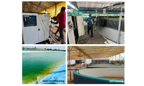 India’s First Nanobubble Pioneer: How Prasinos Made World-Class Technology Affordable for Everyone